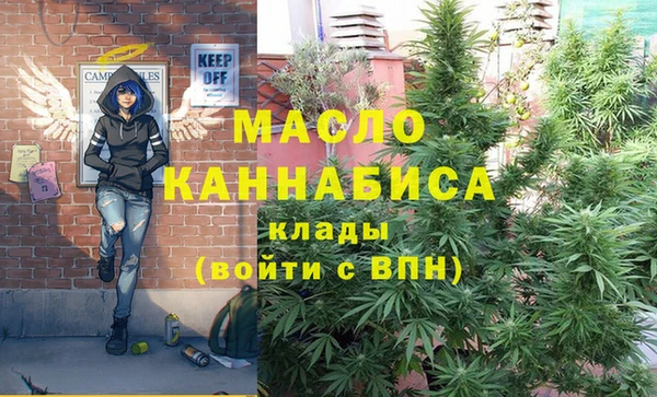 молекула духа Арсеньев