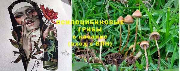 мдпв Армянск