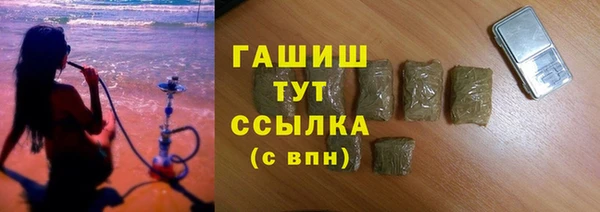 сатива Елабуга