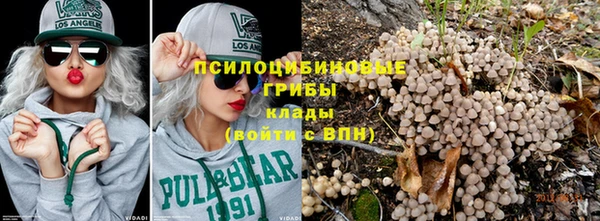 молекула духа Арсеньев