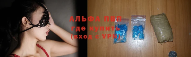 молекула духа Арсеньев