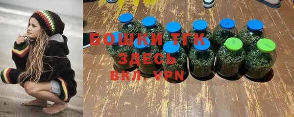 молекула духа Арсеньев