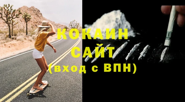 молекула духа Арсеньев
