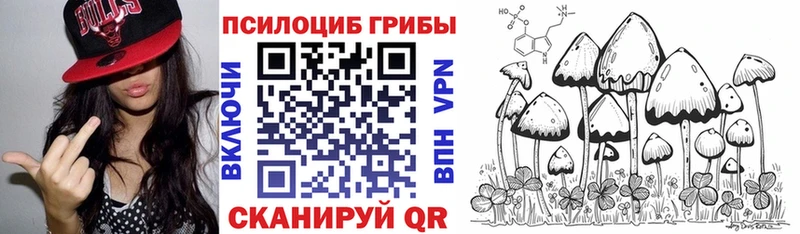 Галлюциногенные грибы GOLDEN TEACHER  Сальск 